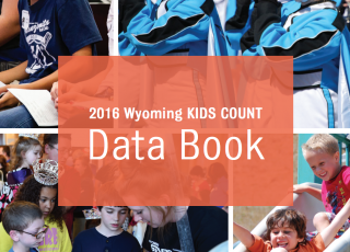 Screenshot of the Wyoming KIDS COUNT Data website